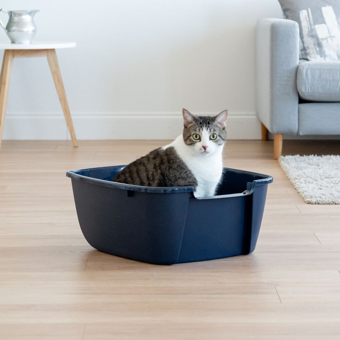 Open-Top Cat Litter Pan - Jumbo - image 2#color_blue